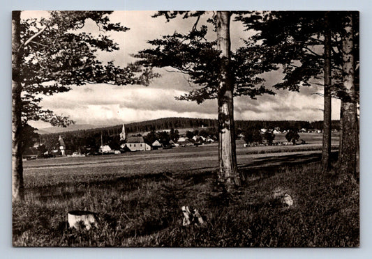 Pohlednice JESENÍKY - REJVÍZ - 780 m (P414)
