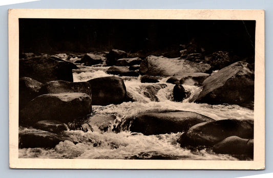 Pohlednice ŠUMAVA - VYDRA (P453)