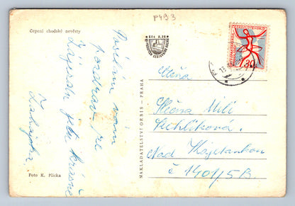 Pohlednice Čepení chodské nevěsty (P493)