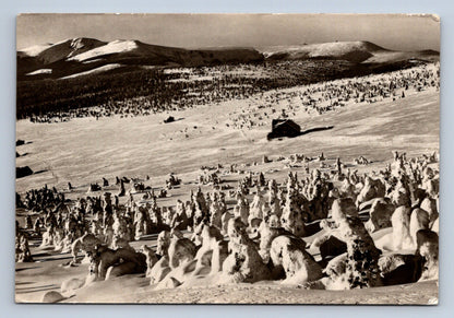 Pohlednice KRKONOŠE - Klínovky - v pozadí Kotel a Vysoké Kolo (P502)