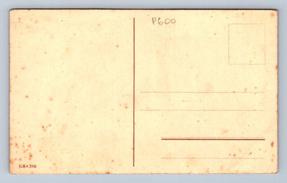 Pohlednice Veselé Vánoce (P600)