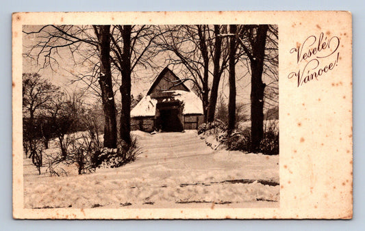 Pohlednice Veselé Vánoce (P600)