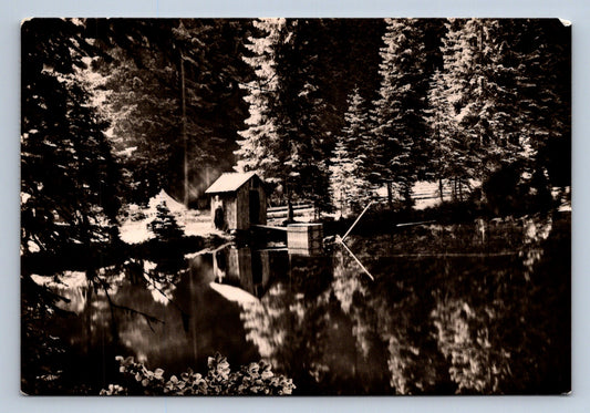 Pohlednice ŠUMAVA - Boubínské jezírko (P665)