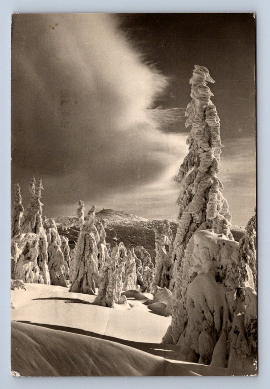 Pohlednice KRKONOŠE - krása zimy nad Petrovkou (P685)
