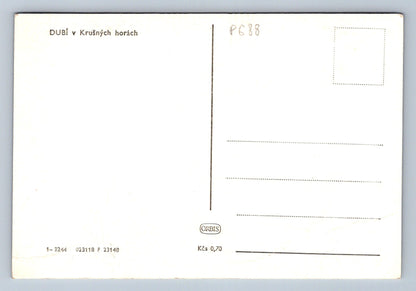 Pohlednice DUBÍ v Krušných horách (P688)
