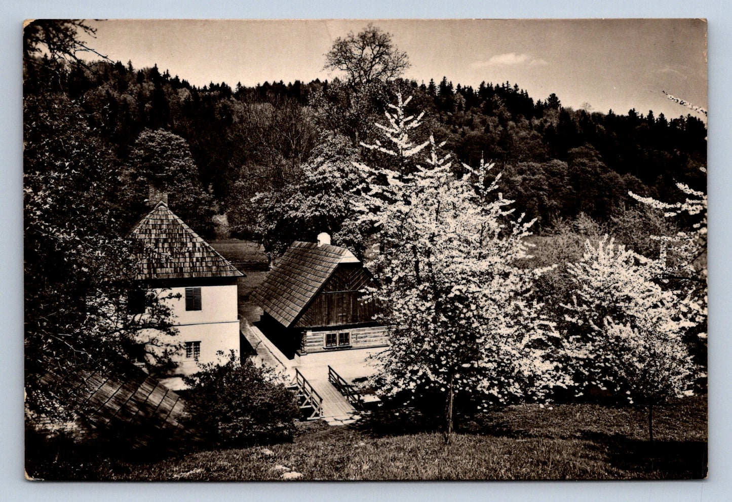 Pohlednice RATIBOŘICE - Staré Bělidlo (P705)