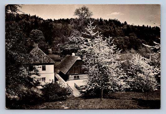 Pohlednice RATIBOŘICE - Staré Bělidlo (P705)