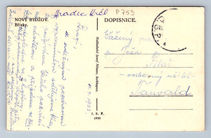 Pohlednice NOVÝ BYDŽOV - Břízky (P753)