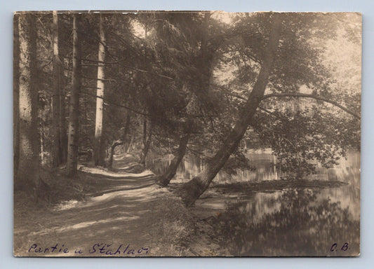 Pohlednice Partie u Šťahlav (P797)