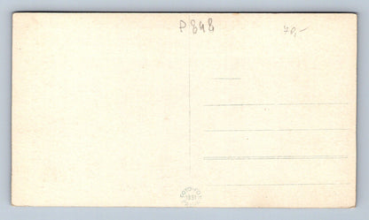Pohlednice Třeboň - Schwarzenberská hrobka (P848)