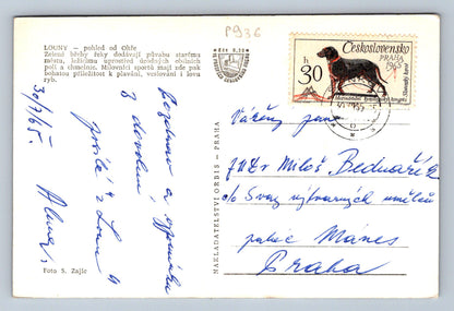 Pohlednice LOUNY - pohled od Ohře (P936)