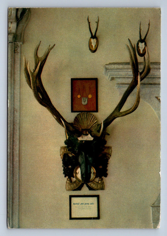 Pohlednice HLUBOKÁ nad Vltavou - Lovecký zámek Ohrada z let(P1018)