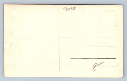 Pohlednice Sanatorium Ples (P1035)