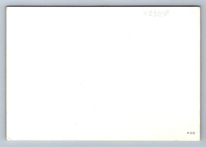 Pohlednice CHATA V ZIMĚ (X23038)