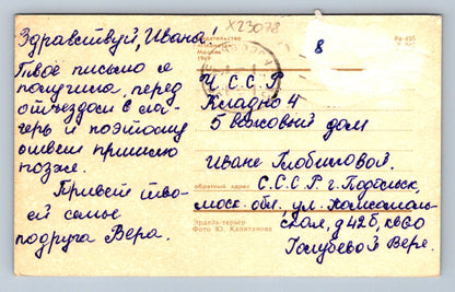 Pohlednice PES (X23078)