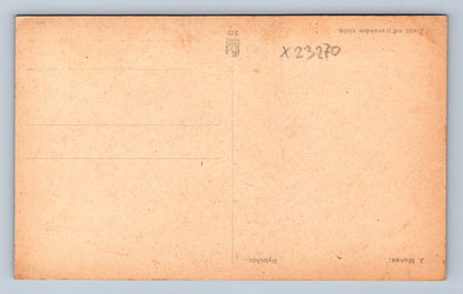 Pohlednice J. MANES : RYBOLOV (X23270)