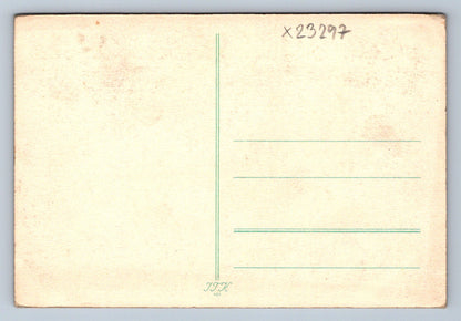 Pohlednice KVĚTINY S MOTÝLEM (X23297)