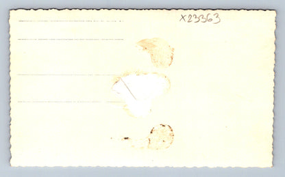 Postcard OUR HOUSE (X23363)