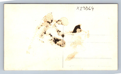 Postcard KRKONOSE WINTER FAIRY TALE (X23364)