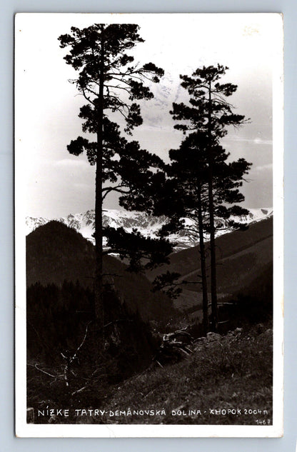 Pohlednice NÍZKÉ TATRY - DEMÄNOVSKÁ DOLINA (X23375)
