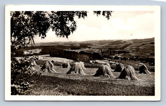 Postcard Vzlet – tourist hut on Lucký vrch P. Borová (X23378)