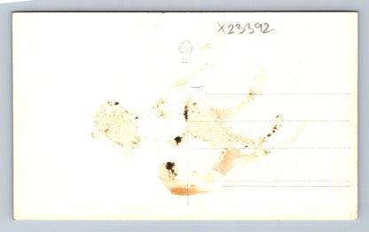 Postcard WOMAN AND MAN IN THE MOUNTAINS (X23392)