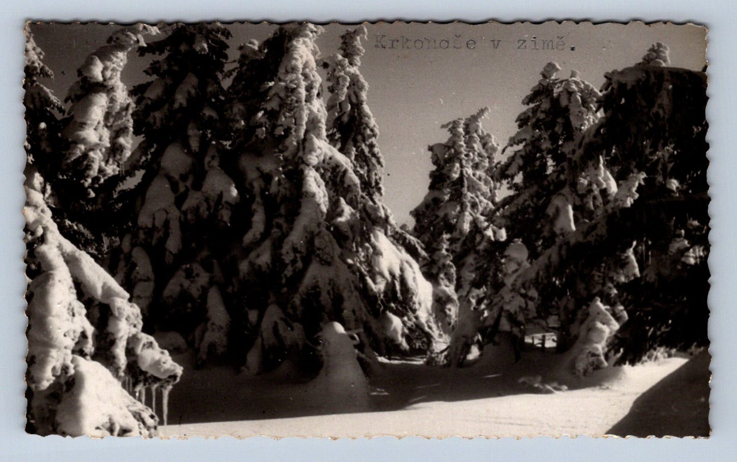 Postcard KRKONOSE IN WINTER (X23396)