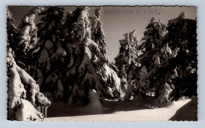 Postcard KRKONOSE IN WINTER (X23396)
