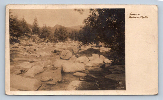 Postcard ŠUMAVA - OTT GAME (X23433)