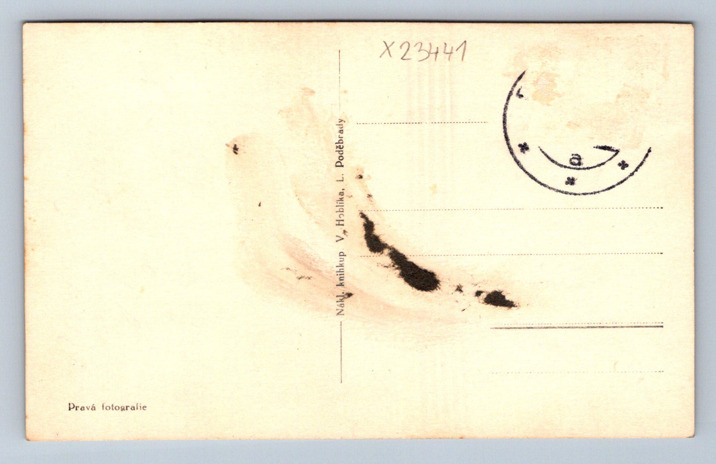 Postcard LÁZNĚ PODĚBRADY: SPA PARK (X23441)