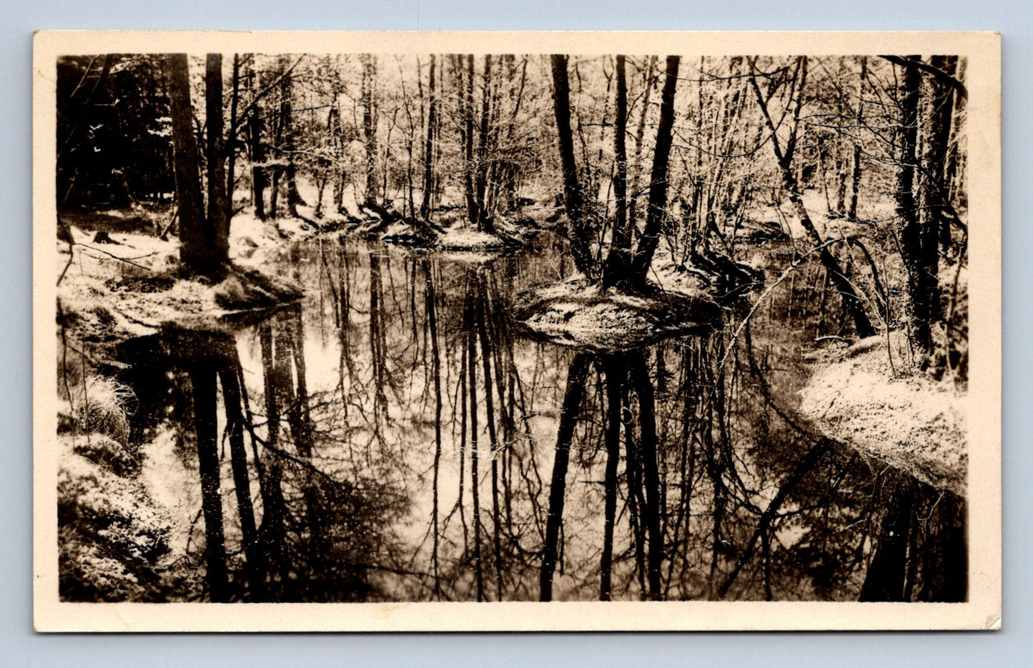 Postcard DVOŘÁK'S HIGHLAND NEAR PŘÍBRAM - RUSALČINO LAKE (X23463)