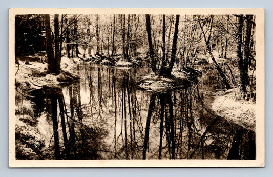 Postcard DVOŘÁK'S HIGHLAND NEAR PŘÍBRAM - RUSALČINO LAKE (X23463)