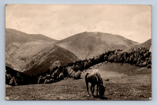 Postcard PILSEN (X23513)