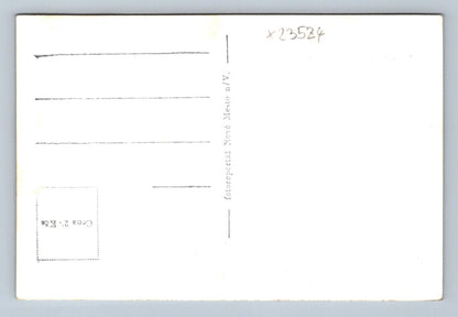 Postcard ČACHTICE (X23524)