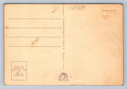 Postcard ŽATEC (X23581)