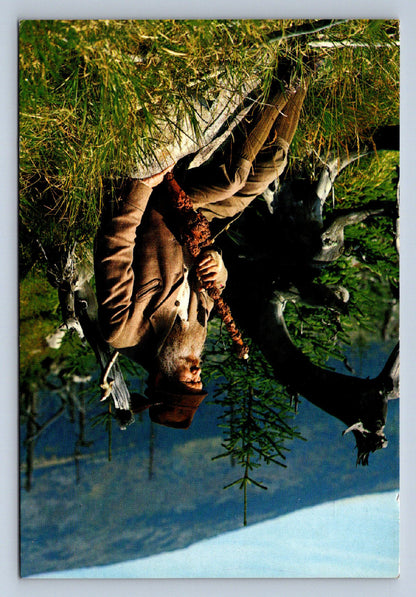 Pohlednice KRKONOŠE - KRAKONOŠ - VLÁDCE HOR (X23594)