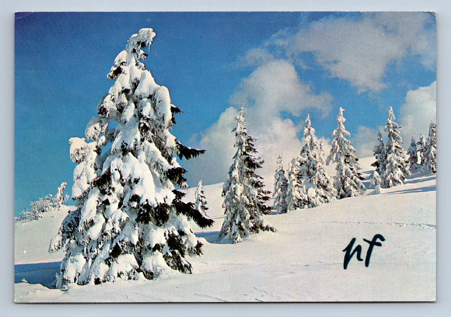Postcard MERRY CHRISTMAS AND HAPPY NEW YEAR (X23651)