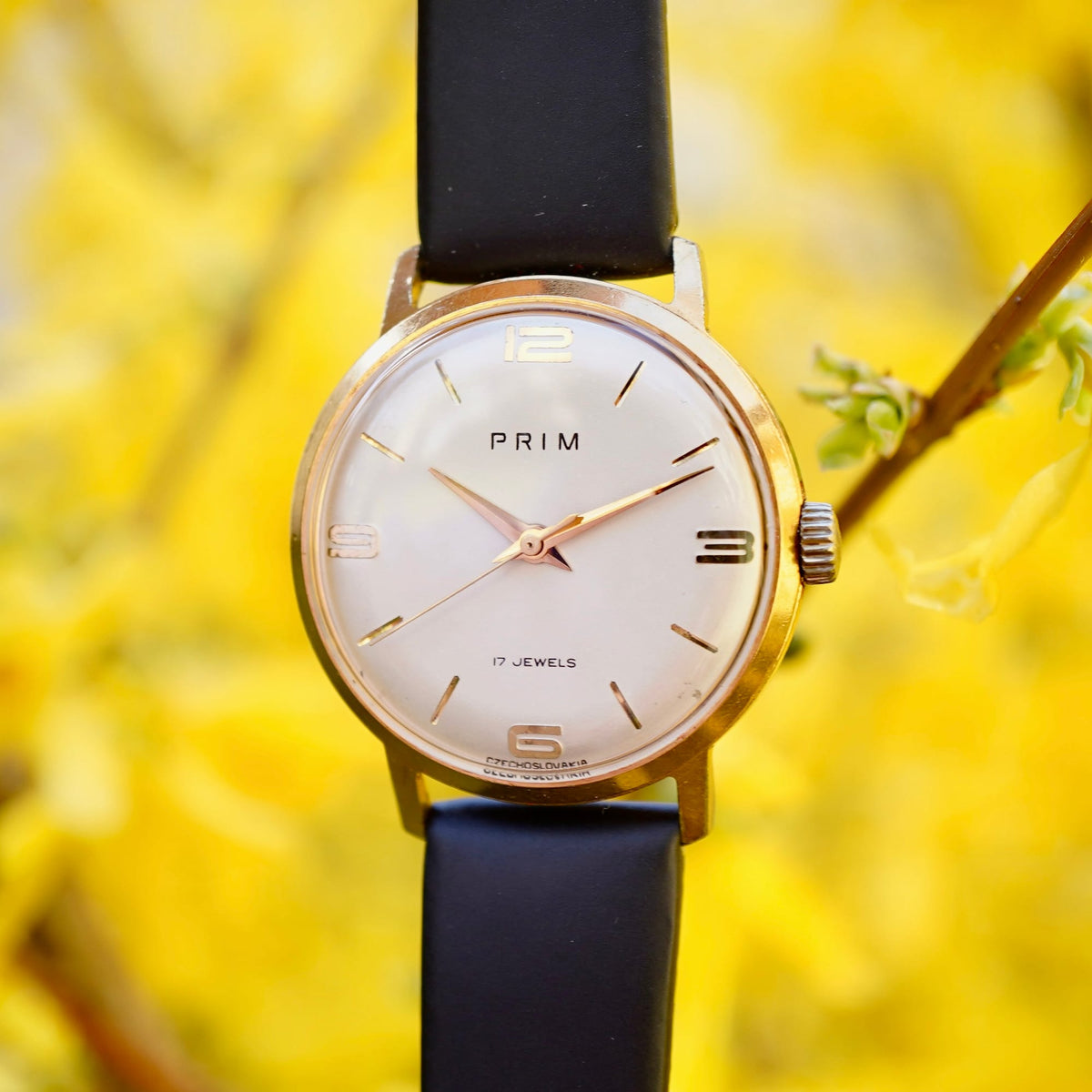 Pánské náramkové hodinky Prim 17 jewels 32 mm (SE112)