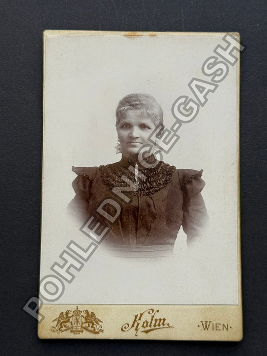 Stará fotografie Vídeň portrét ženy 1890-1910 (BM26980)