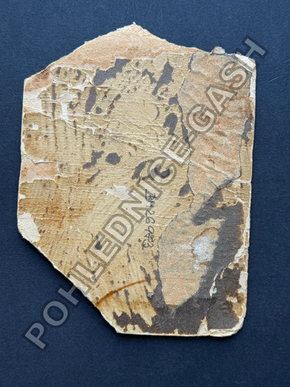 Stará fotografie muž v uniformě pravděpodobně voják (BM26983)