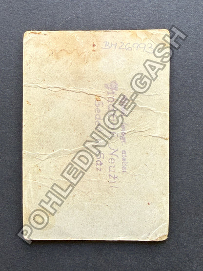 Stará fotografie starší žena s vlnitými vlasy (BM26993)