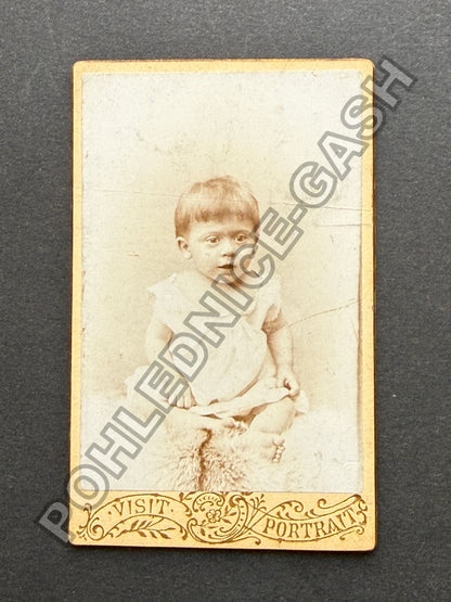 Stará fotografie Vídeň dítě sedící na kožešině (BM26998)