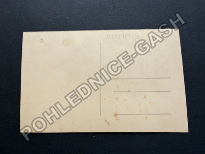 Pohlednice Vlaštovka a květiny reliéfní (BM27015)