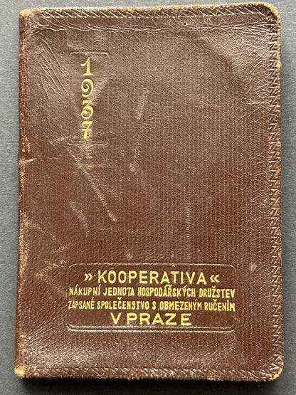 Diář zápisník s koženými deskami a poznámkami (BM219)