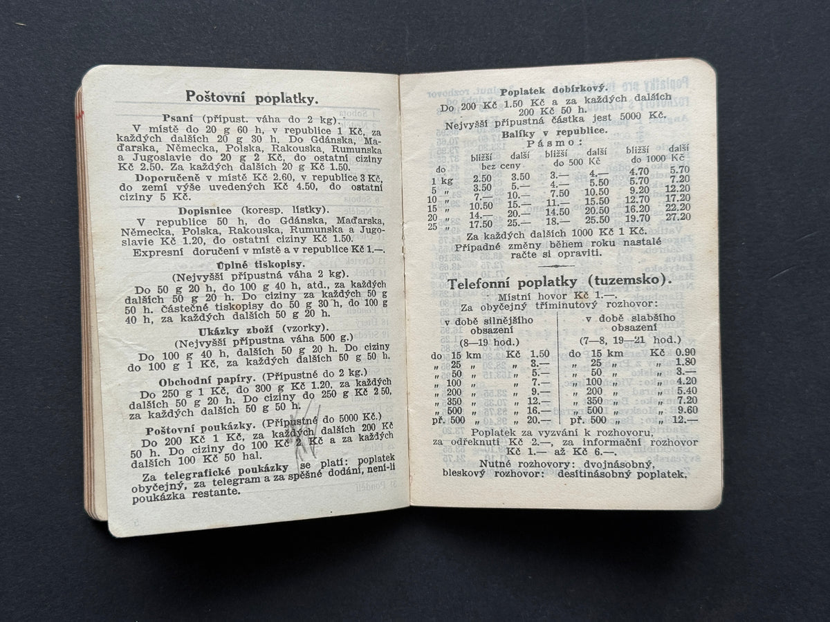 Diář zápisník s koženými deskami a poznámkami (BM219)