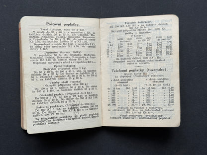 Diář zápisník s koženými deskami a poznámkami (BM219)