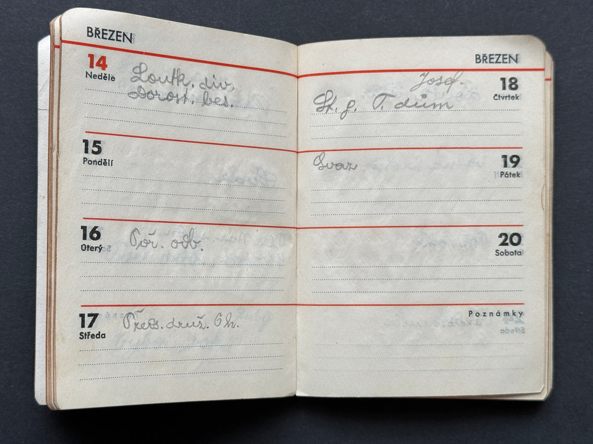 Diář zápisník s koženými deskami a poznámkami (BM219)
