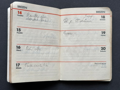 Diář zápisník s koženými deskami a poznámkami (BM219)