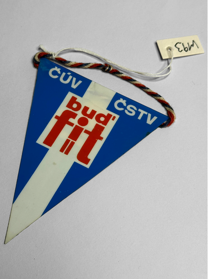 Vlaječka ČÚV ČSTV Bud fit pohybem ke zdraví (V193)