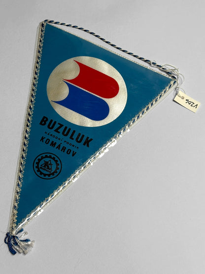 Vlaječka Buzuluk Komárov 1460-1970 (V206)
